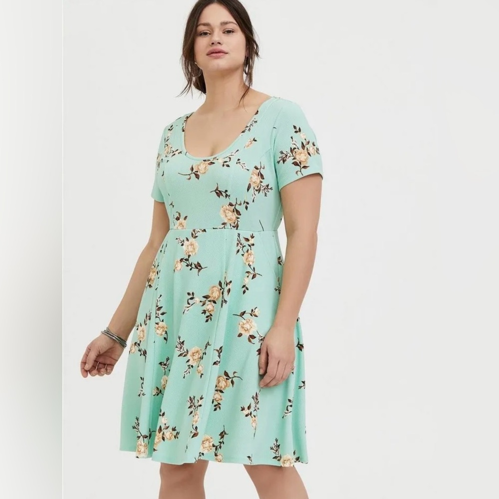 Torrid Dress - Picture 3 of 4